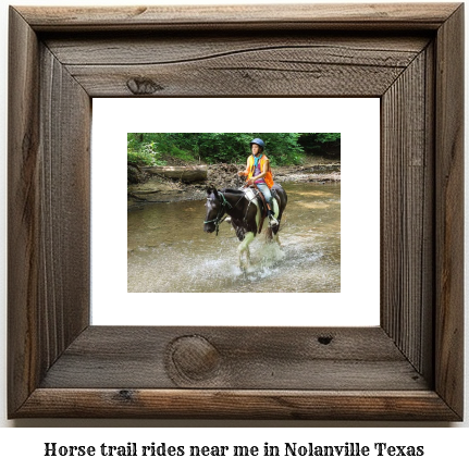 horse trail rides near me in Nolanville, Texas